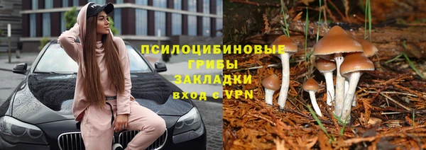 меф Арсеньев