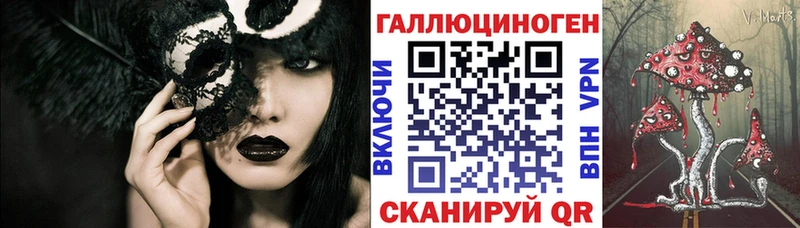 Галлюциногенные грибы Psilocybine cubensis  Североморск 